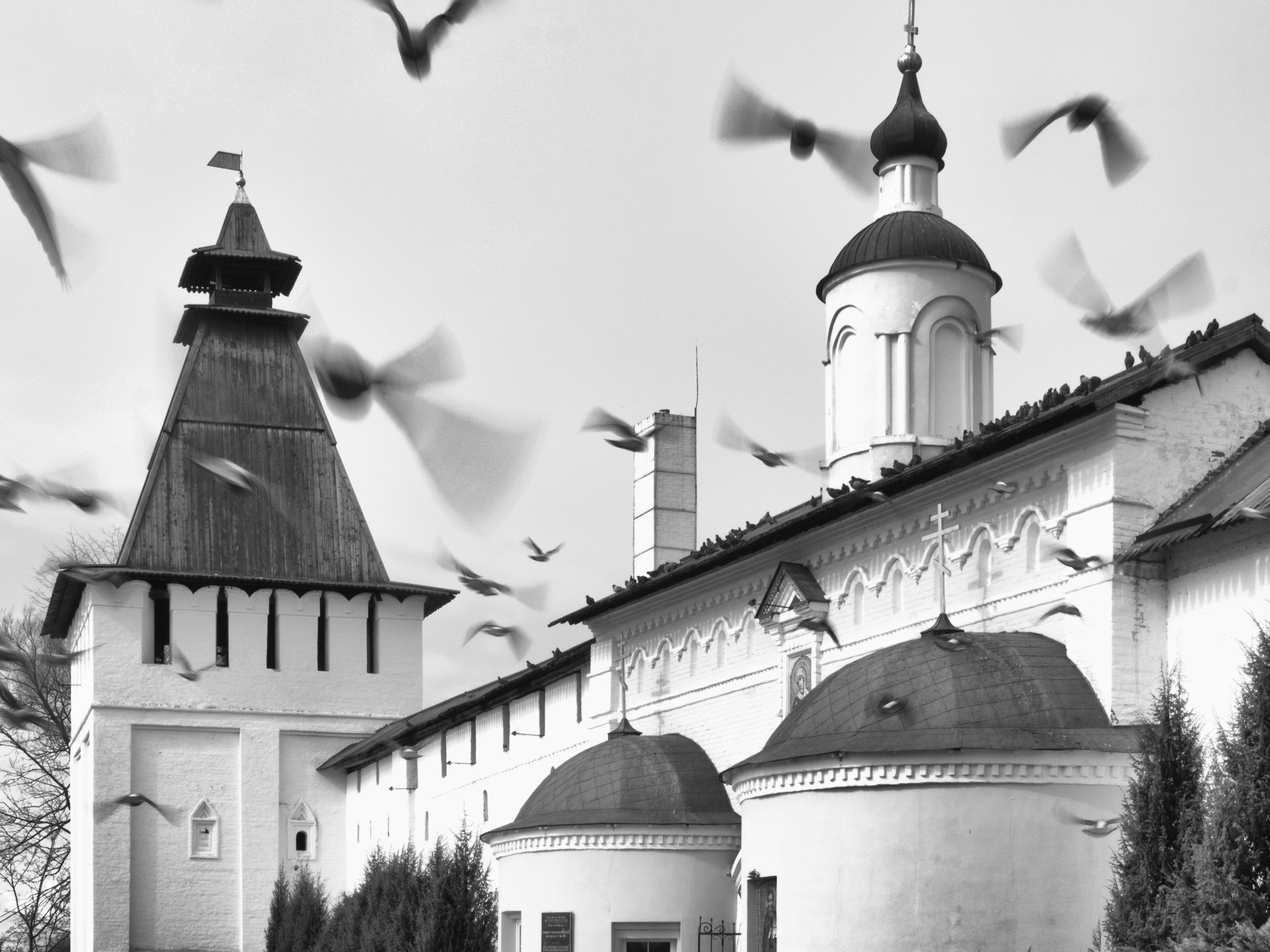 Black and white, Monochrome, Kaluga, Borovsk, Landscape, Elena Beregatnova