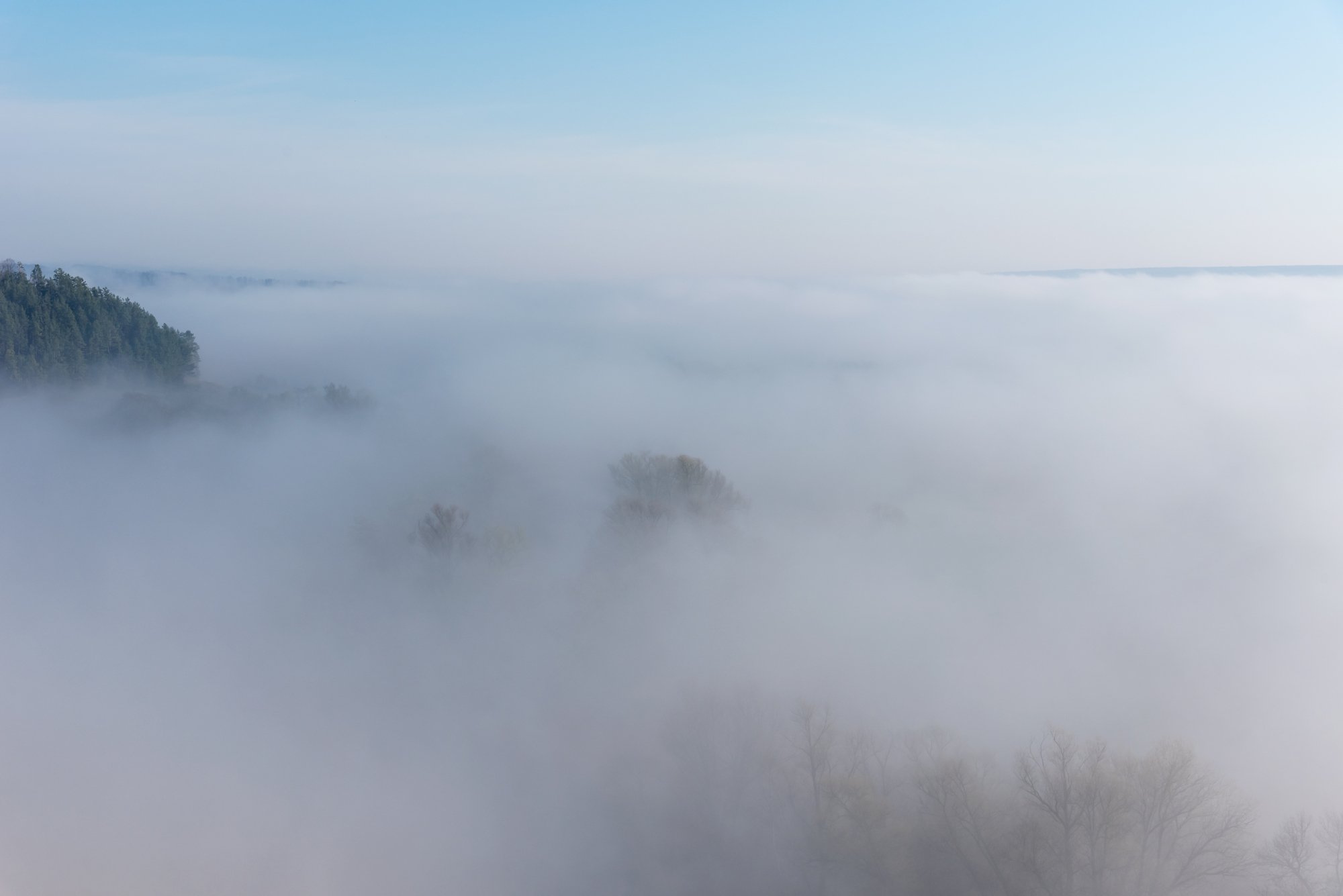 крапивенское городище, рассвет, туман, Александр Литвишко