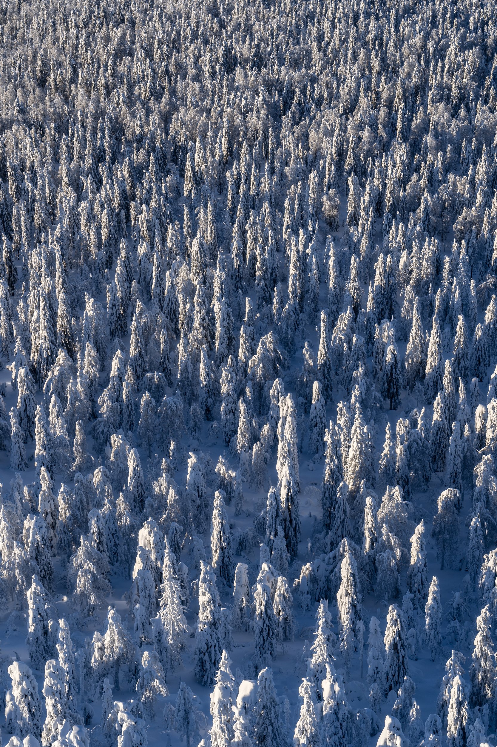 пейзаж, полюд, пермский край, россия, landscape, sony a7 III, Кирилл Соколов