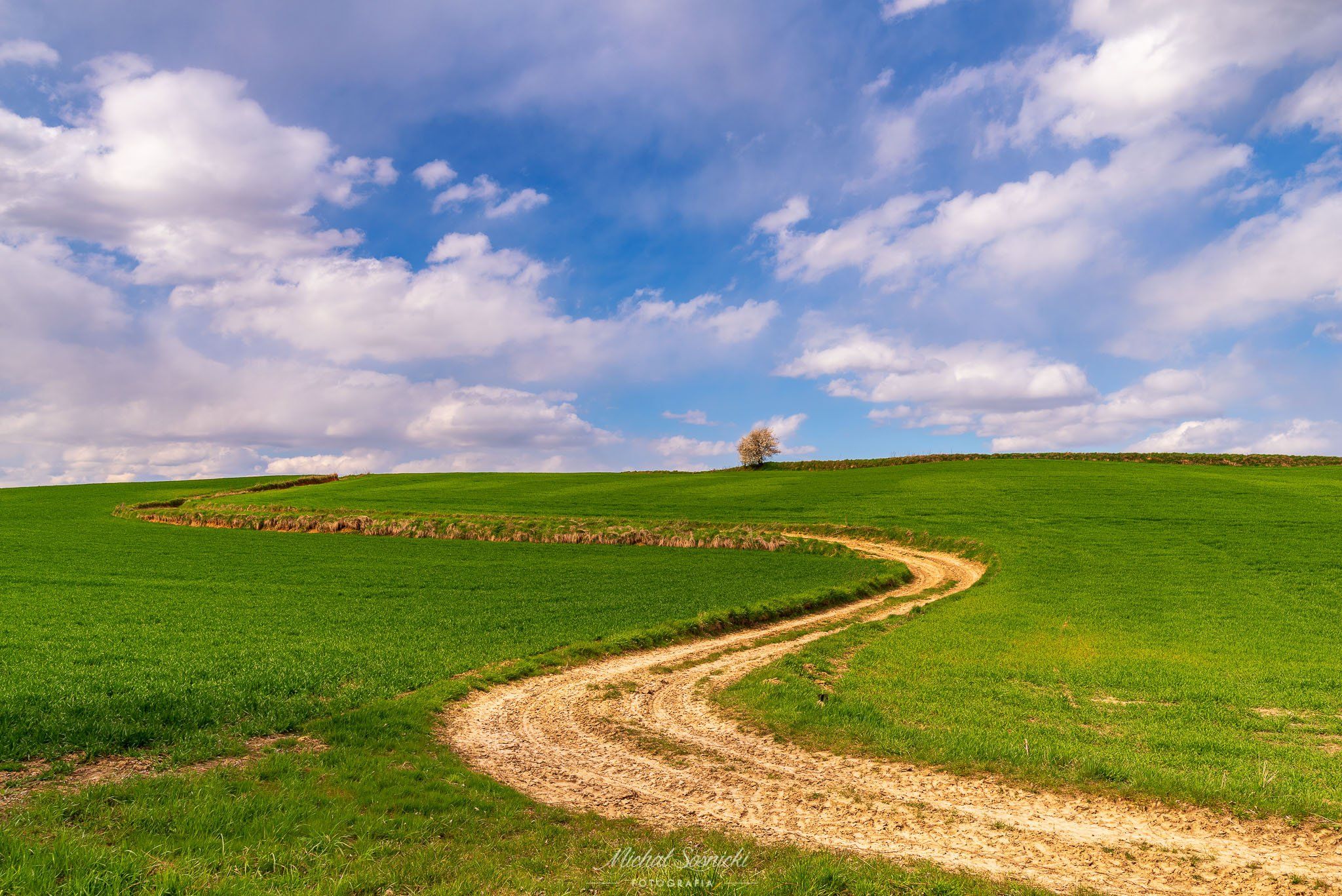 #poland #ponidzie #spring #layers #best #green #amazing #nature #benro #benq #pentax #tree #road, Michał Sośnicki