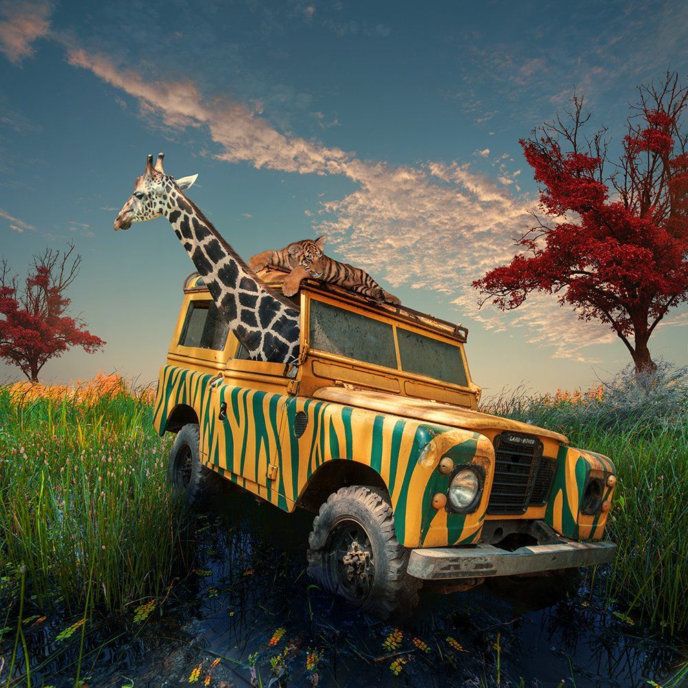 baby, case, clouds, corn, elephant, girl, ground, head, heat, ioana, journey, light, luggage, manipulation, mounting, mounting happy, psd, reflection, sky, spinner, stage, tiger, tourist, tutorials, Caras Ionut