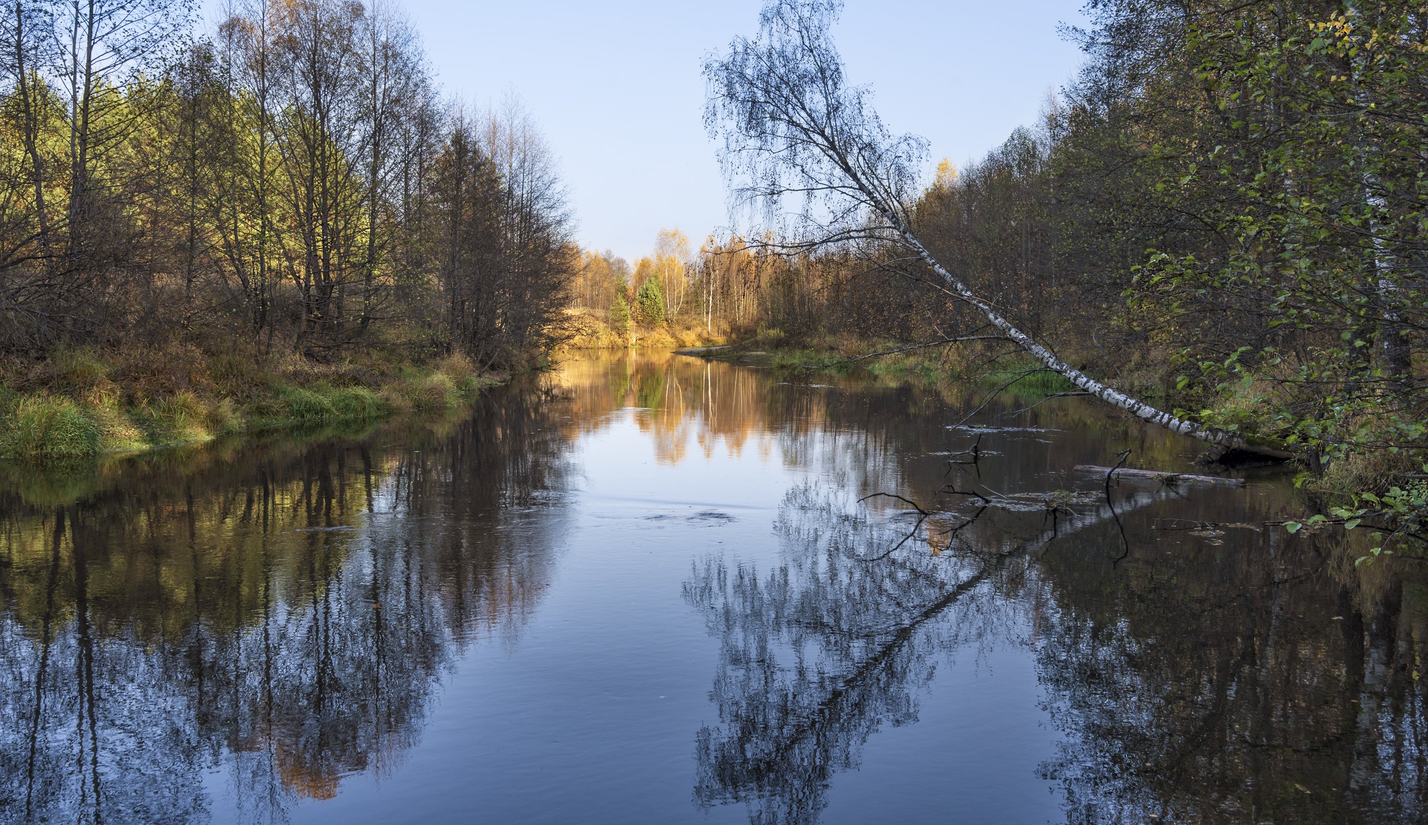 утро, берег реки, осень, Андрей Колесов