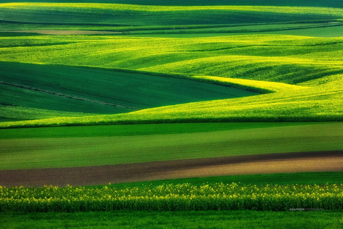 landscape, fields, rpowroznik, springtime, Robert Powroznik