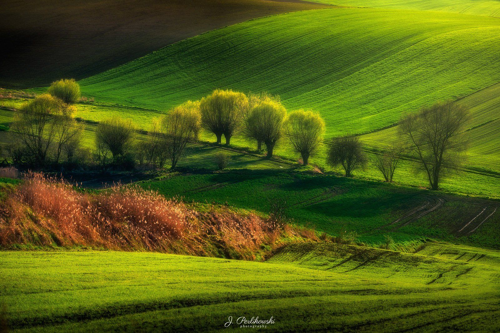 ponidzie, poland, spring, Jakub Perlikowski