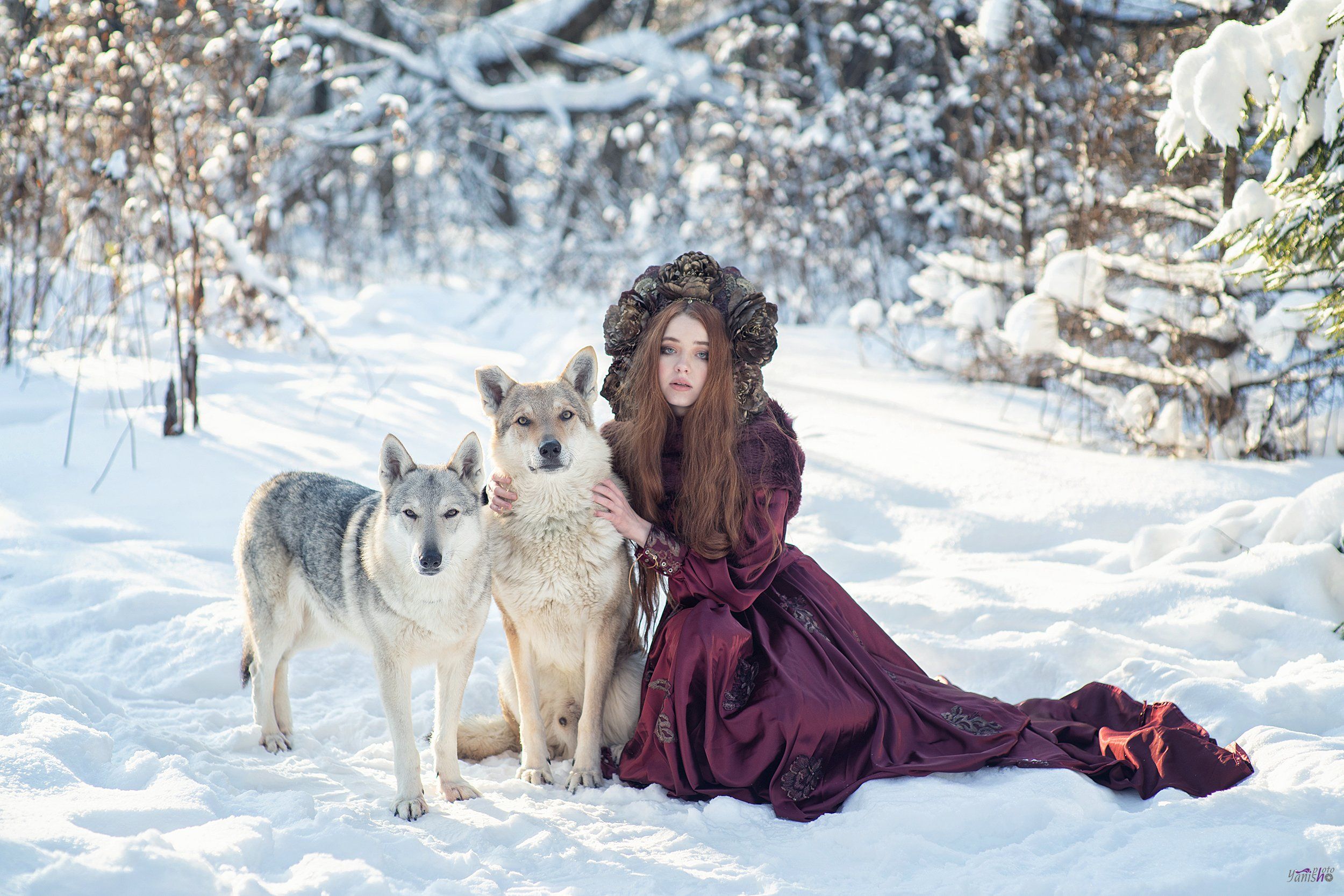 портрет, зима, красный, фентези, девушка, лес, сказка, холод, мороз, волки, животные, Янина Ермакова