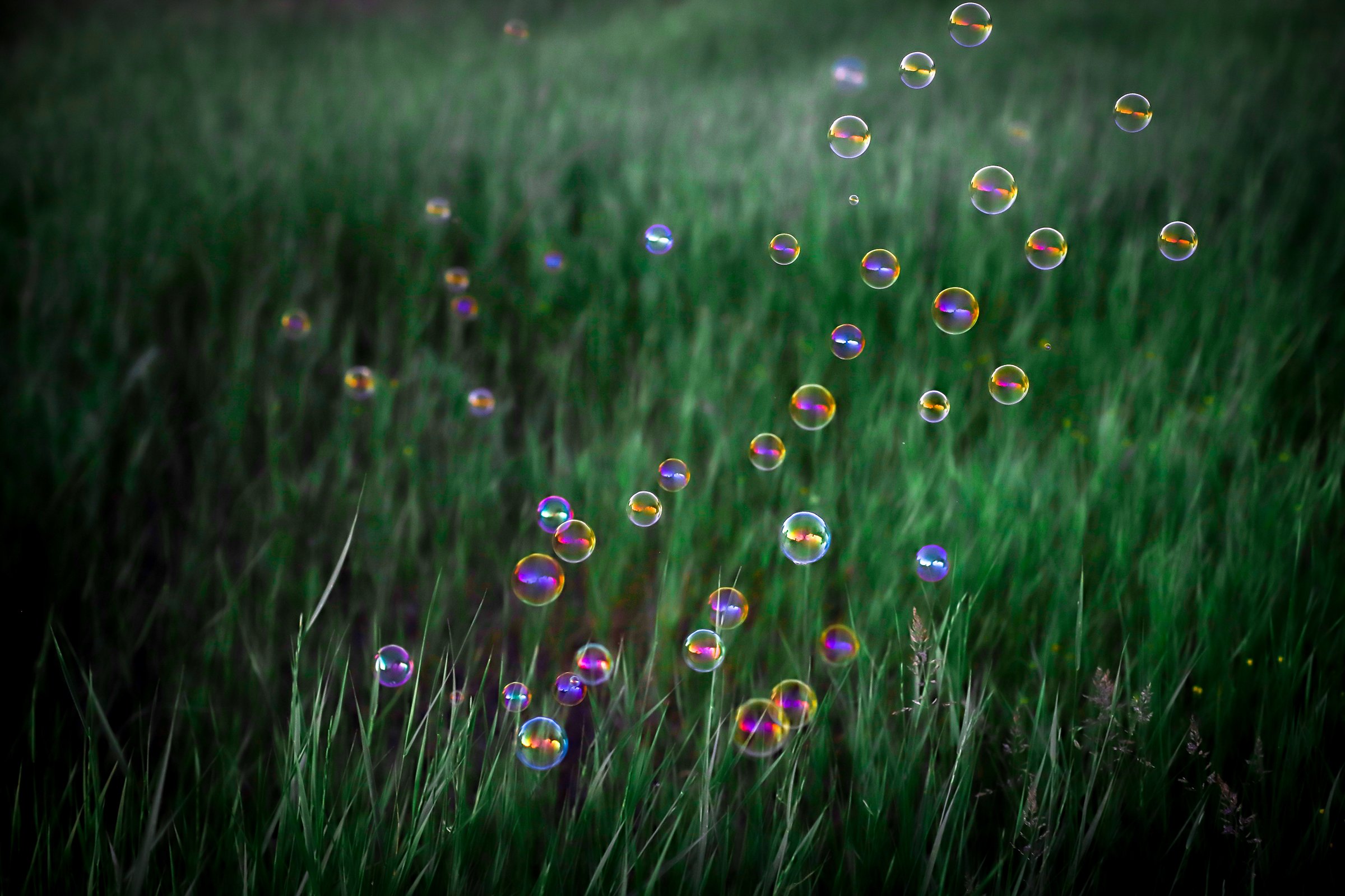 природа, мыльные пузыри, трава, Екатерина Нефедова
