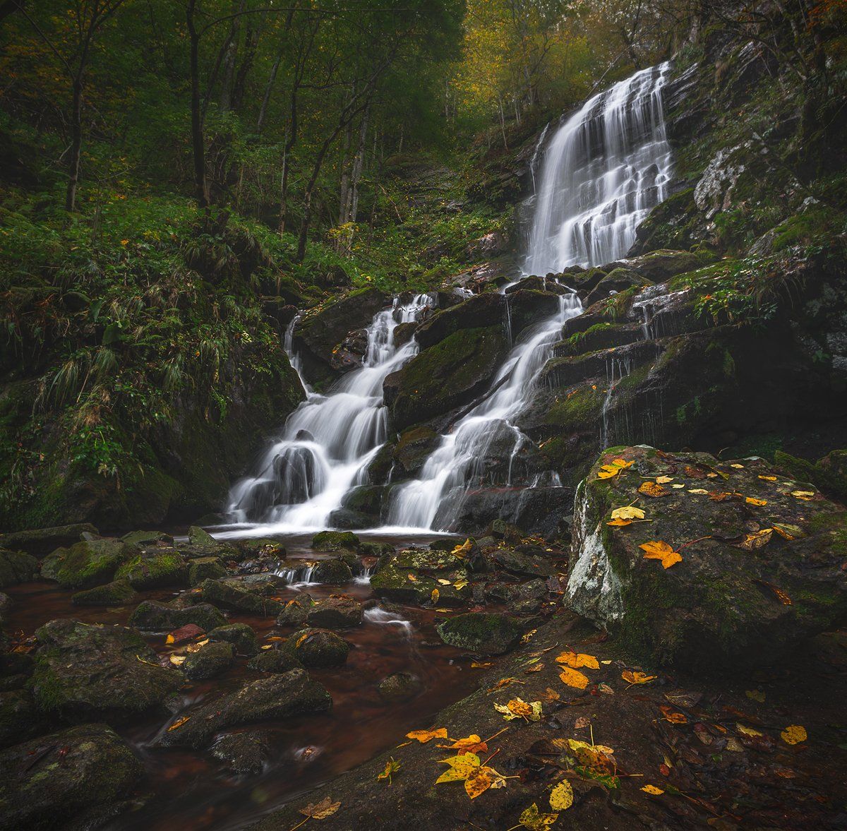 landscape nature scenery forest wood autumn water waterfall leaves river mountain staraplanina bulgaria осень лес, Александър Александров