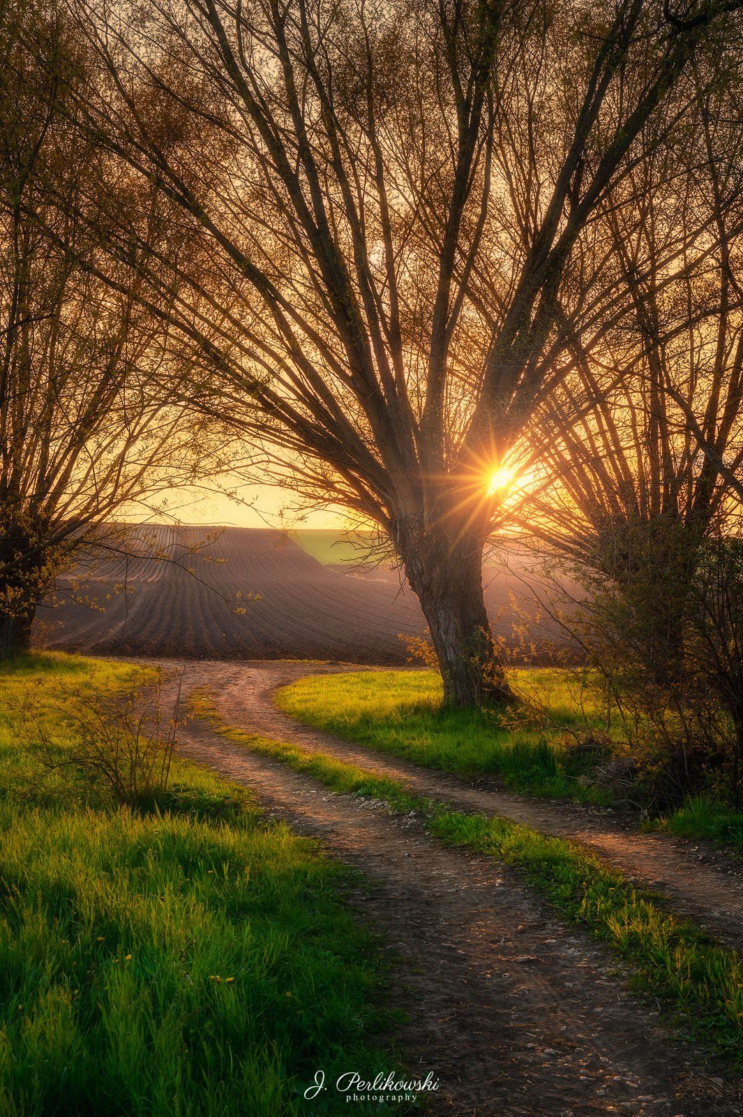 spring,countryside, sunset, Jakub Perlikowski
