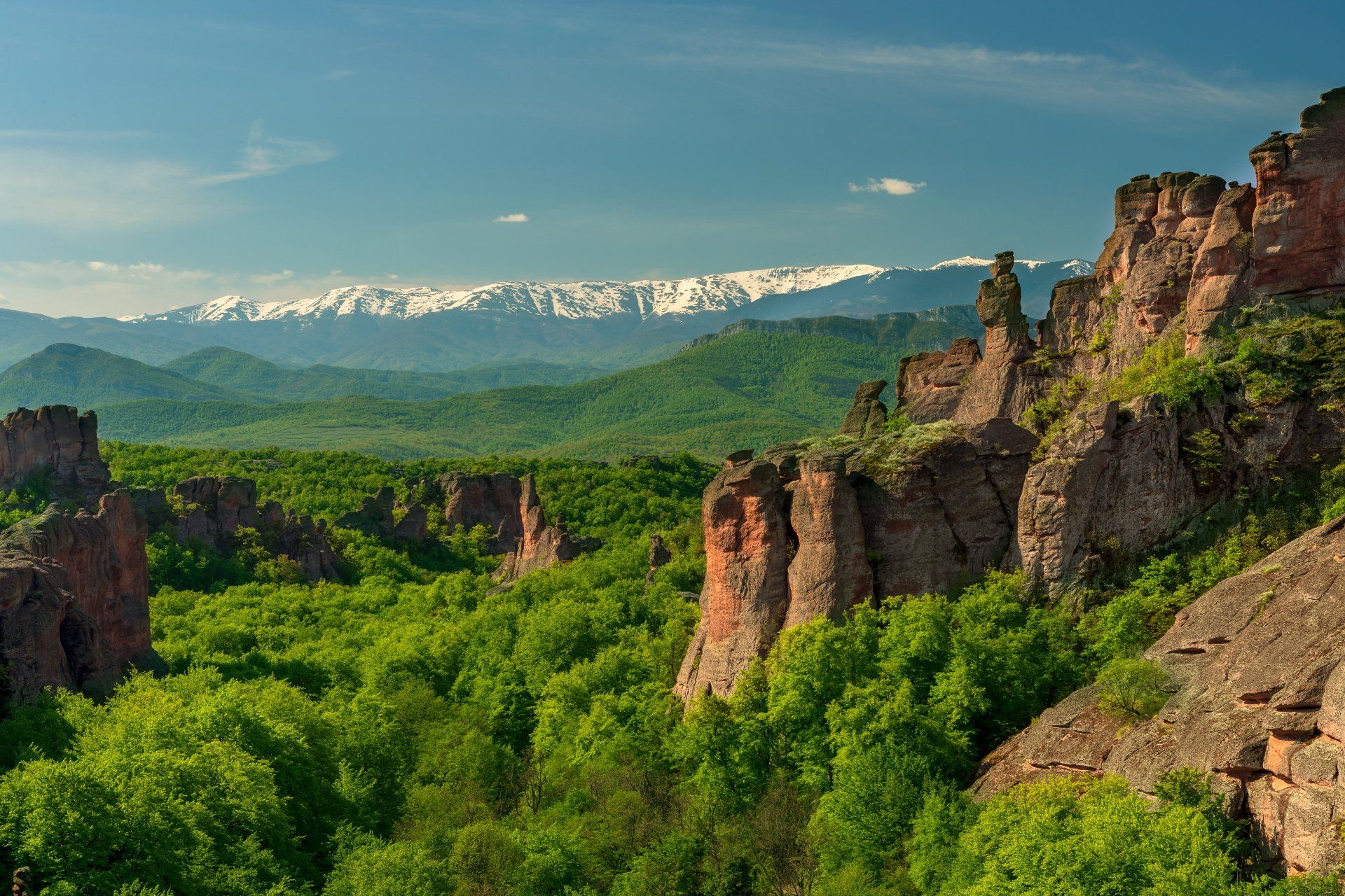 , Александър Сандев