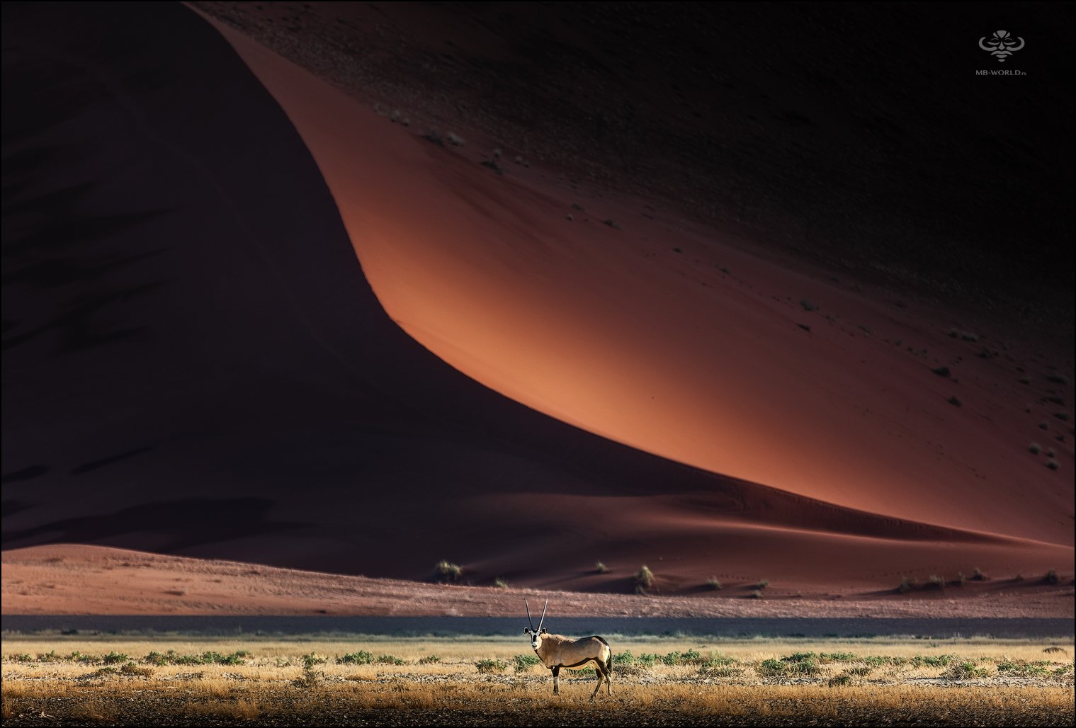 Намибия, дюны, пейзаж, Mikhail Vorobyev