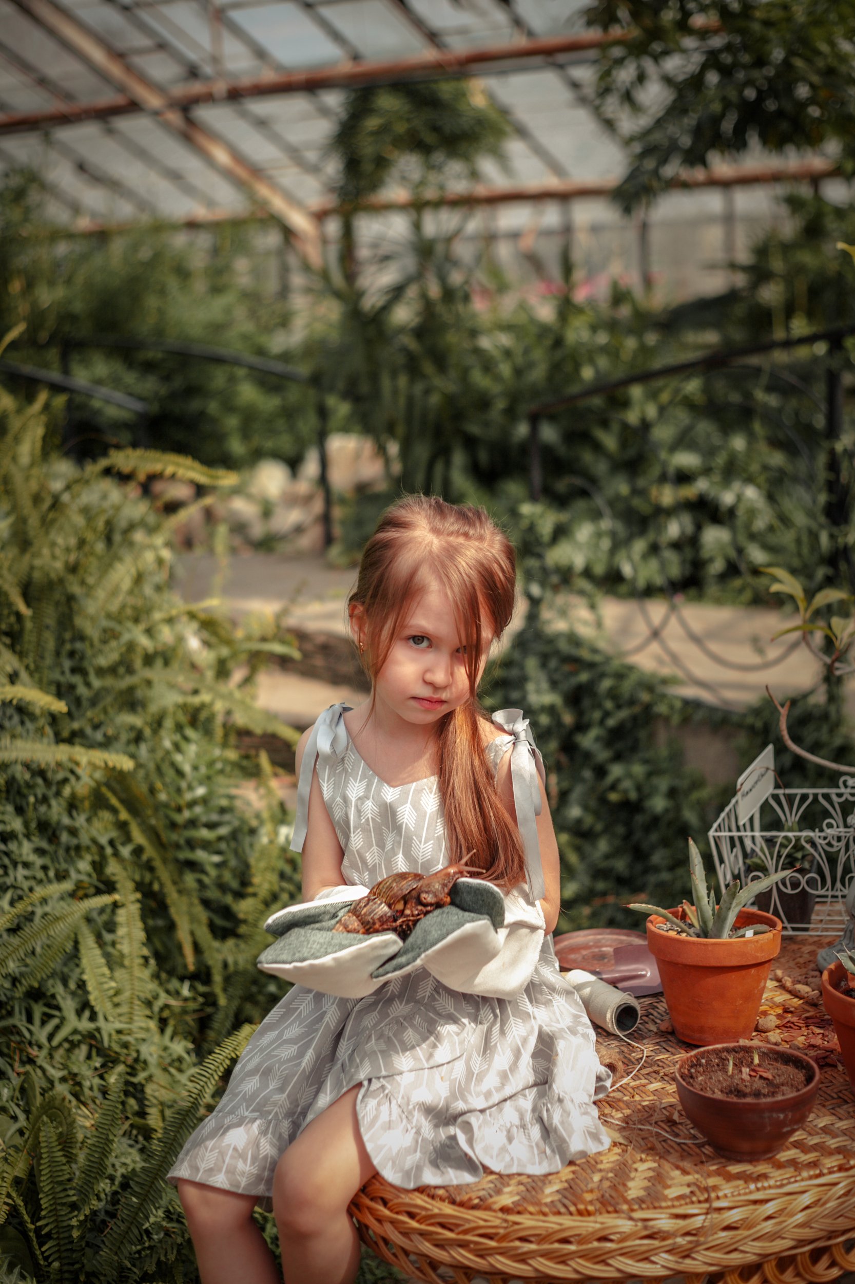 сад,садованики,оранжерея, Nina Zaytseva