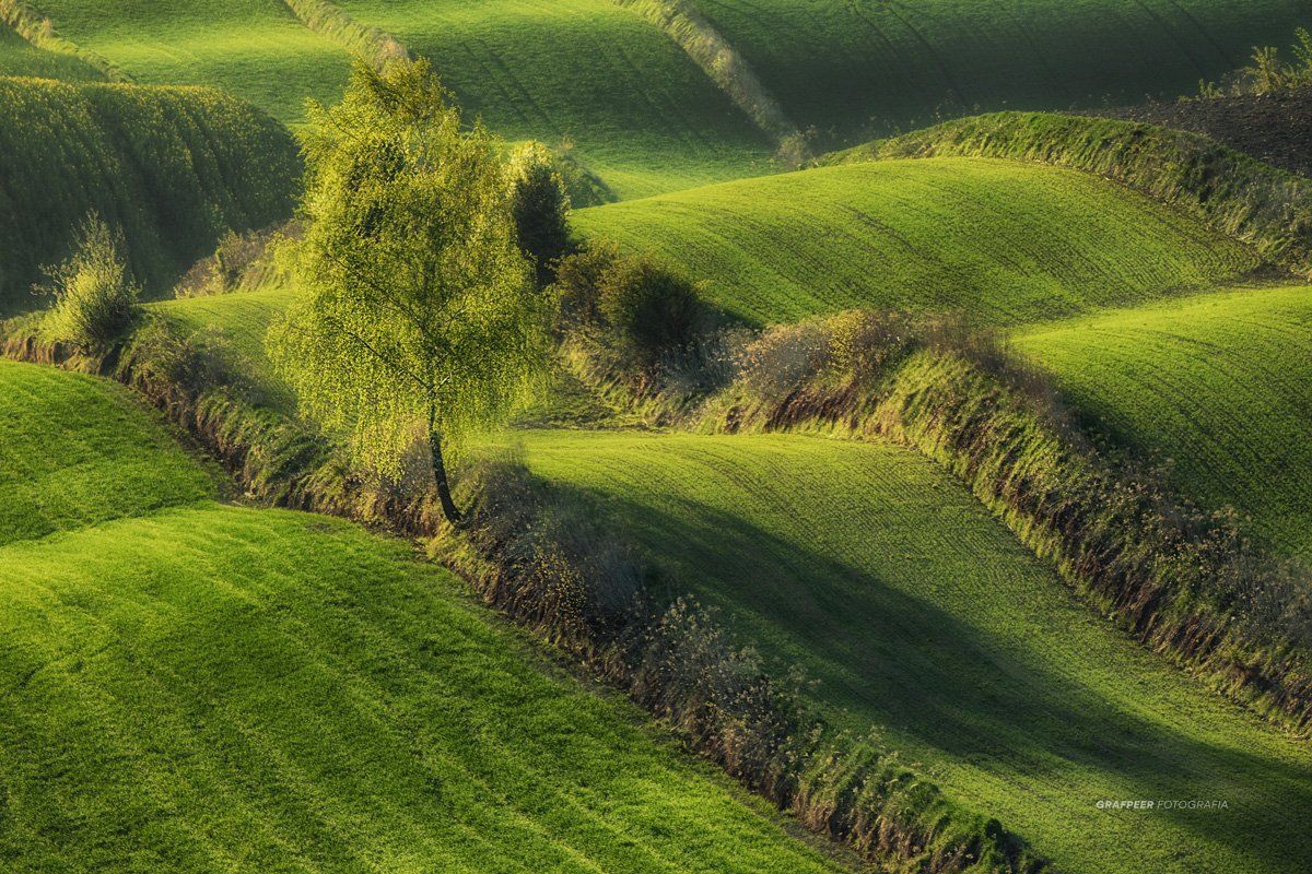 morning, light, shadow, landscape, fields, rpowroznik, Robert Powroznik
