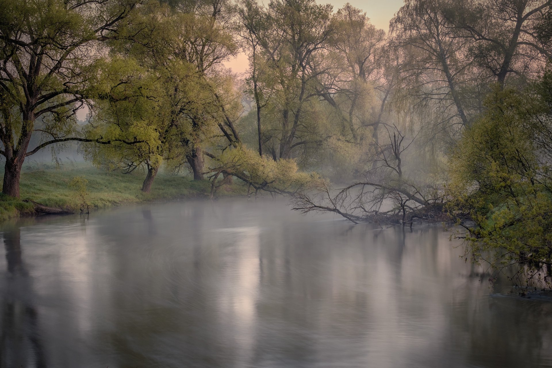 река, истра, утро, деревья, зелень, поток, рассвет, вода, пейзаж, Андрей Чиж