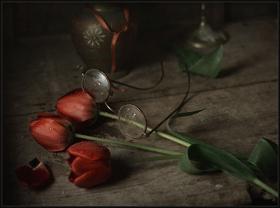 Майский дождик. Майский ливень. Елены майский дождь. Романс белой акации. Майский дождь слушать.