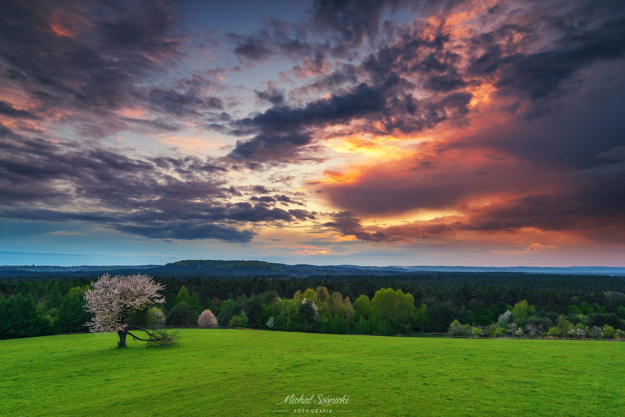 #magic #poland #pentax #benro #landscape #sky #nature #sunset #sunrise #spring #tree, Michał Sośnicki
