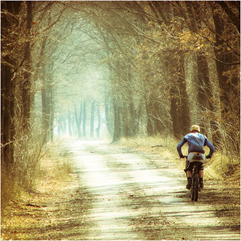 васильков вело велоспорт велосипед тоннель лес деревья, Алексей Медведев