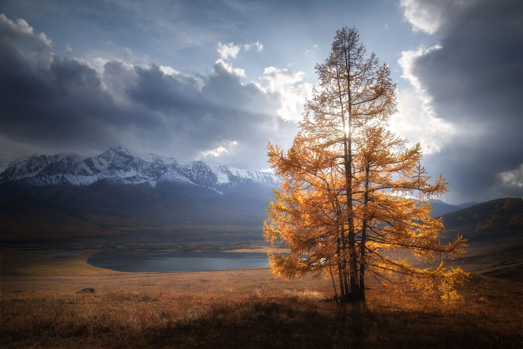 алтай, горный алтай, горы, курайская степь, урочище ештыкель, лиственницы, лиственница, золотая осень, гроза, сентябрь, altai mountains, Алена Рубан