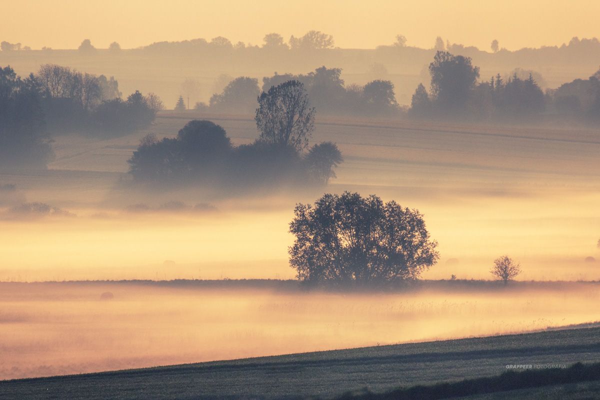 fields, morning, foggy, sunligt, sunrise, landscape, rpowroznik, Robert Powroznik