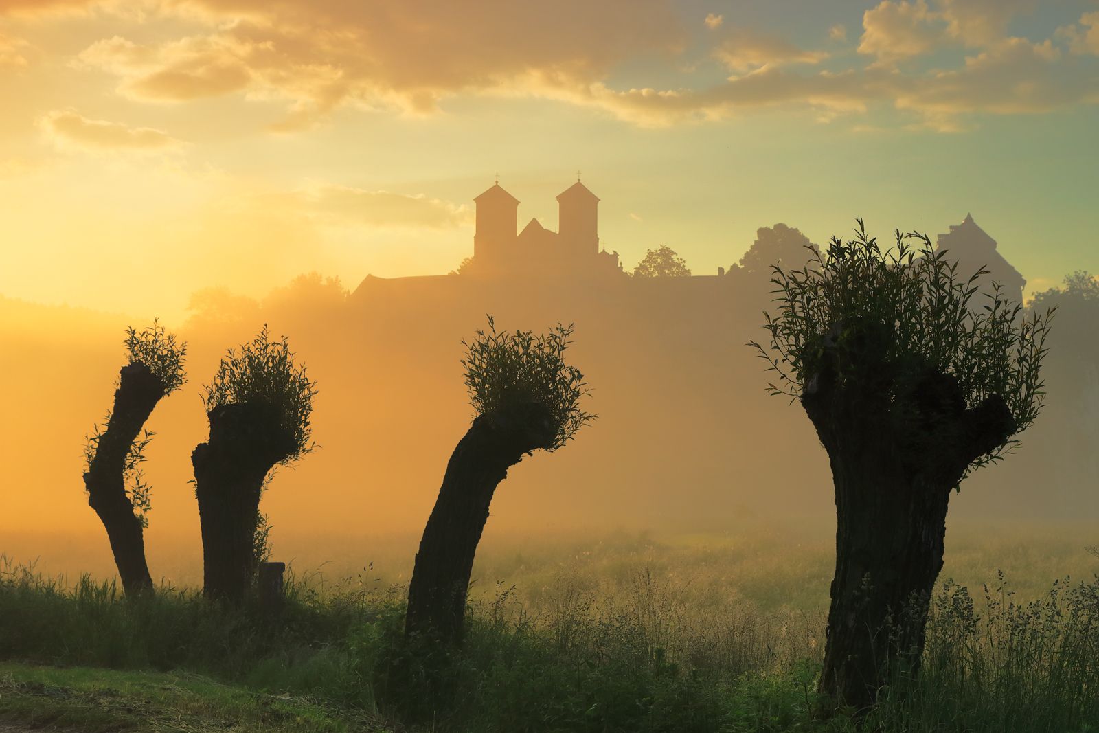 sunrise, morning, fog, mist, spring, tree, willow, tyniec, monastery, abbey,, Jacek Lisiewicz