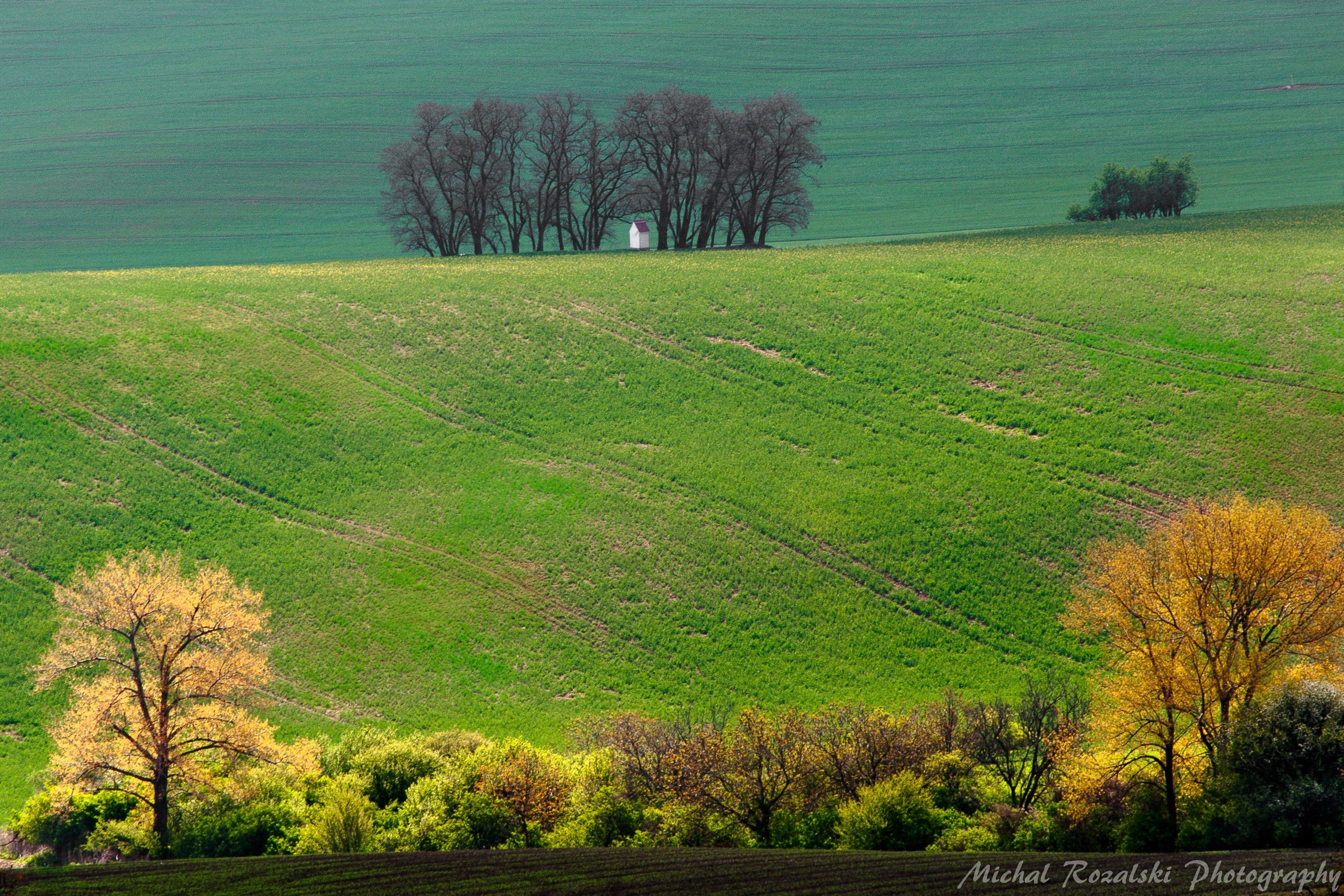 moravia, ,hills, ,spring, ,season, ,colors, ,tree, ,light, ,sunrise, ,fields, ,landscape, ,photography, ,chapel, ,green, Michal Rozalski