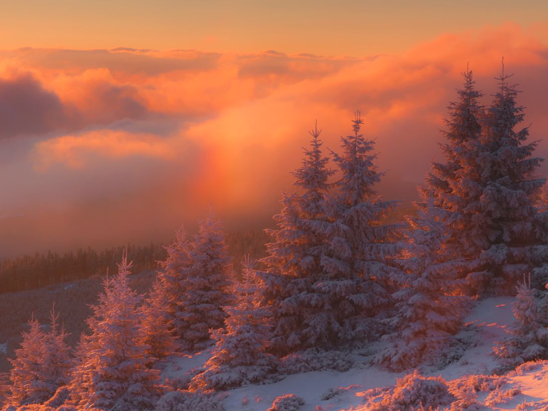 landscape,winter,canon,mountains, Iza i Darek Mitręga
