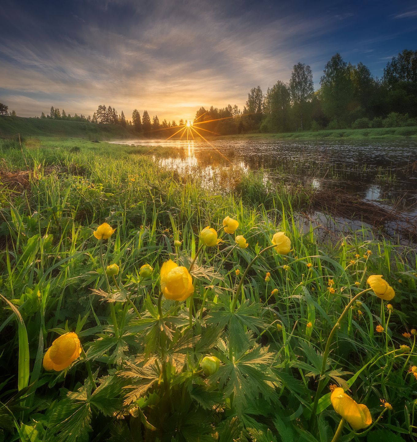 весна, река, цветы, восход, Алексей Марголин