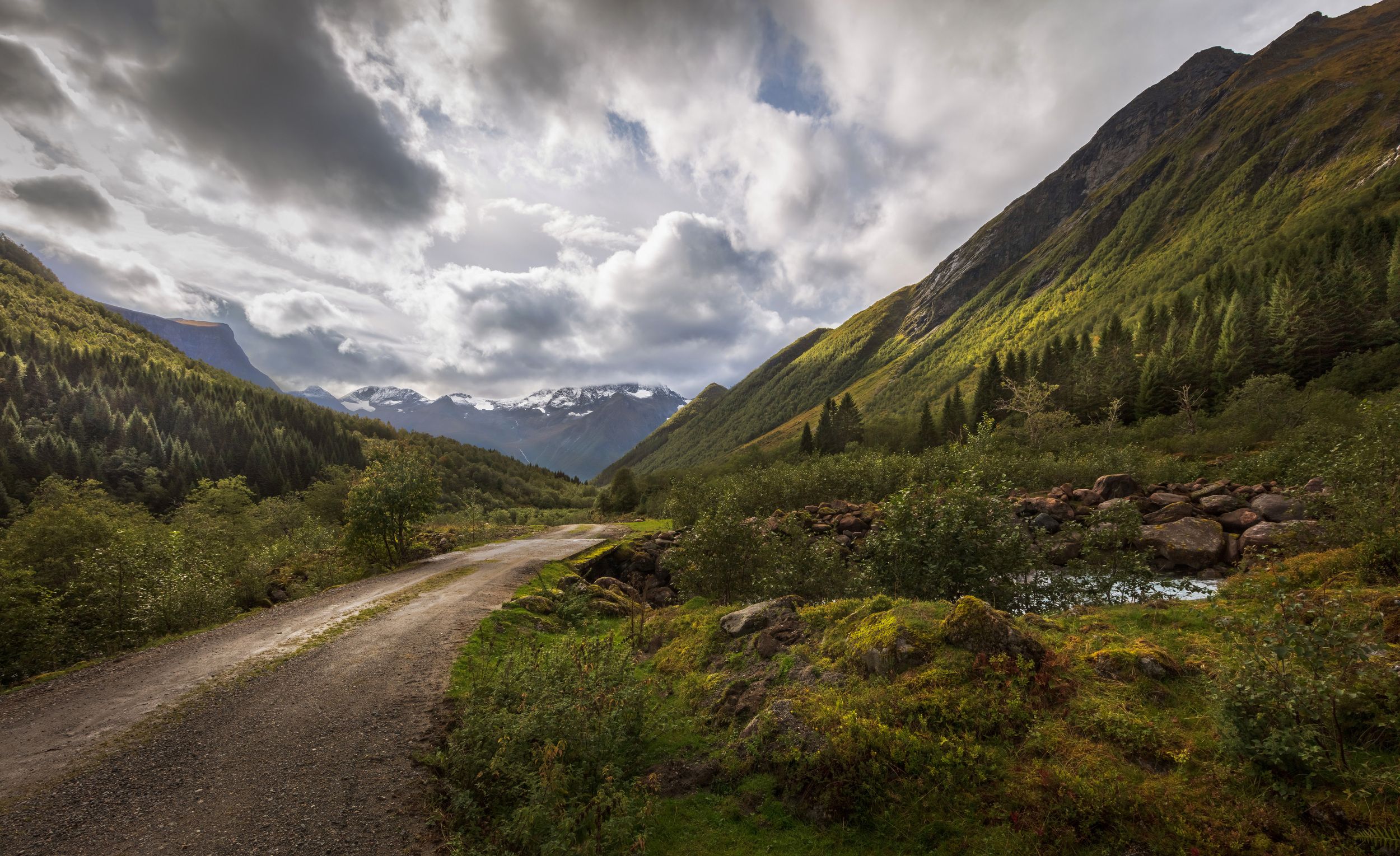 норвегия, дорога, горы, деревья, мост, облака,, Марат Макс.