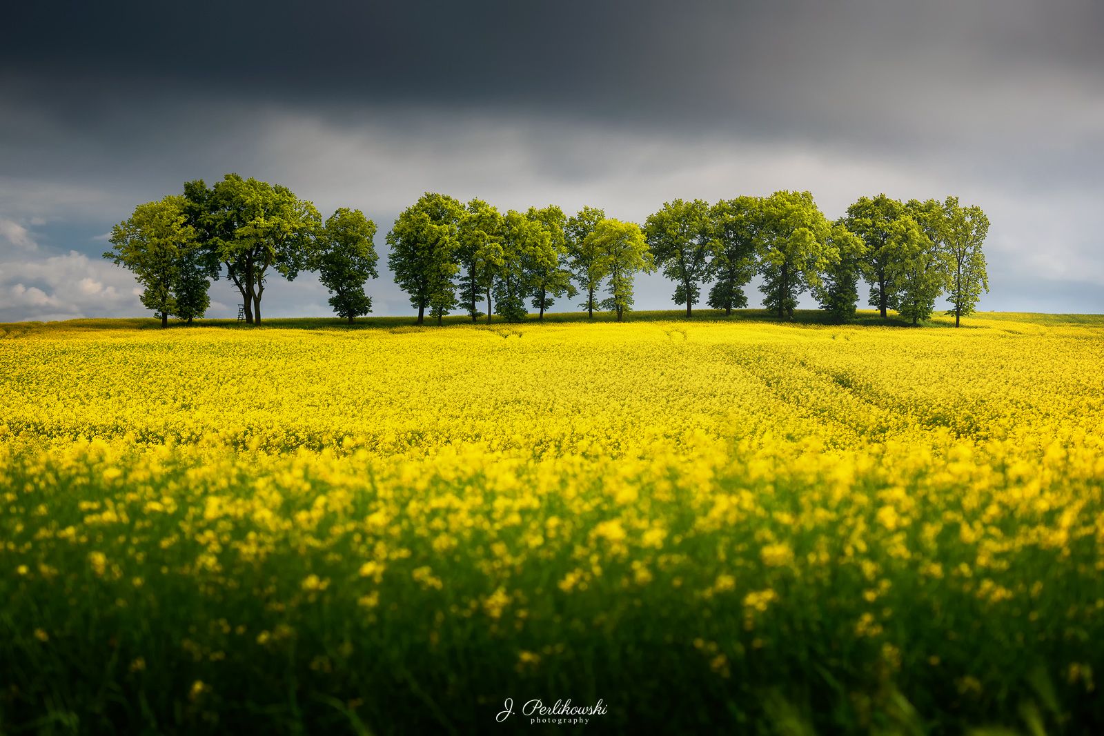spring, fields,clouds, Jakub Perlikowski