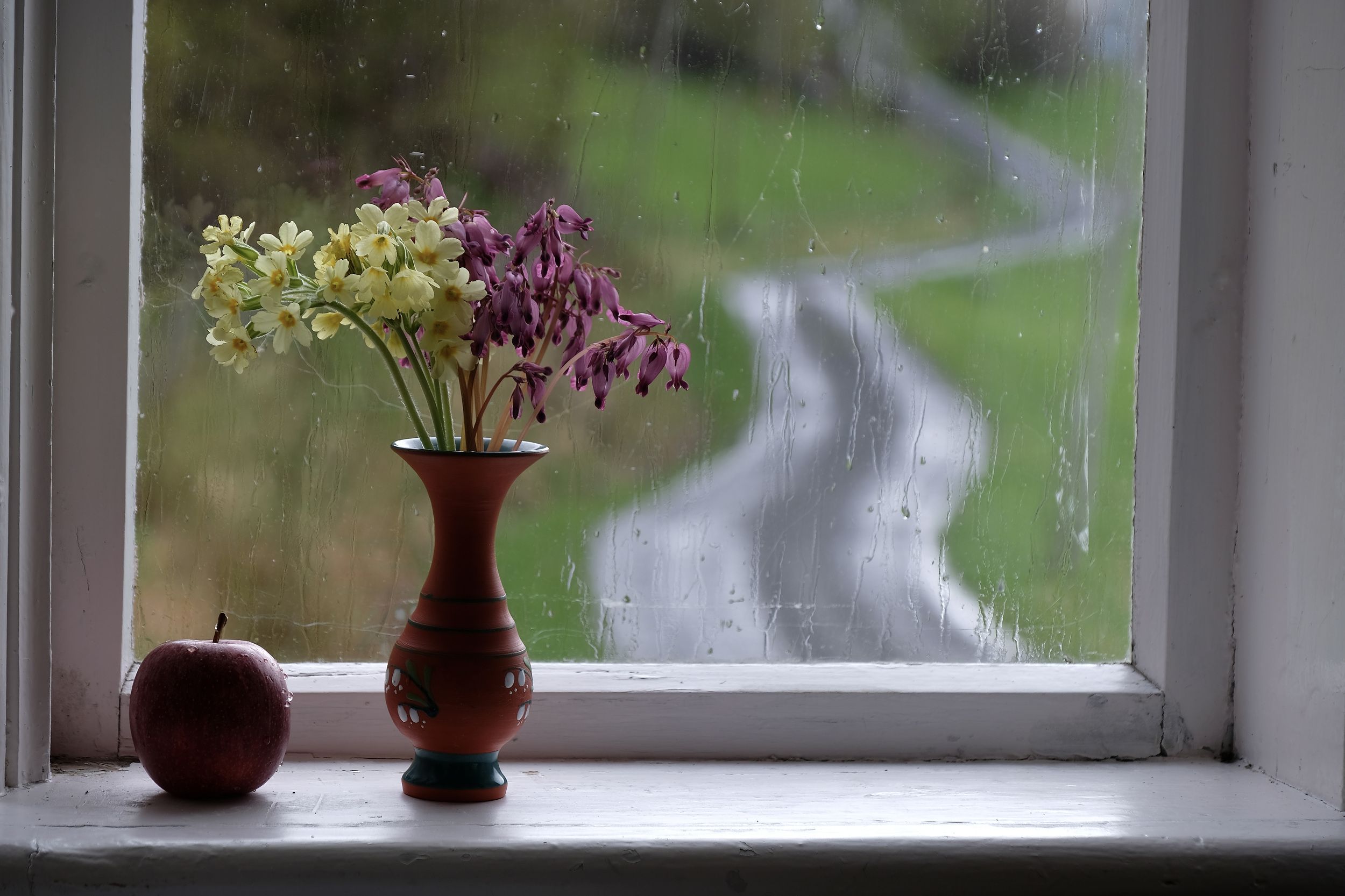 Still life, road, colors, rain, apple, flowers, purple, yellow, nature, weather, Norway, flora, window, glass, , Svetlana Povarova Ree