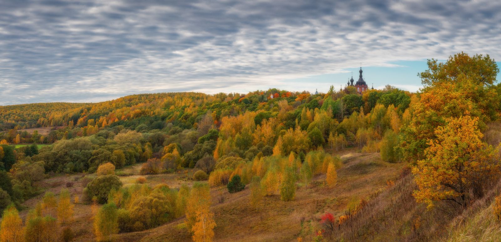 осень, деревья, желтые, КазанскаяАмвросиевскаяпустынь, облака, , Евгений Цап