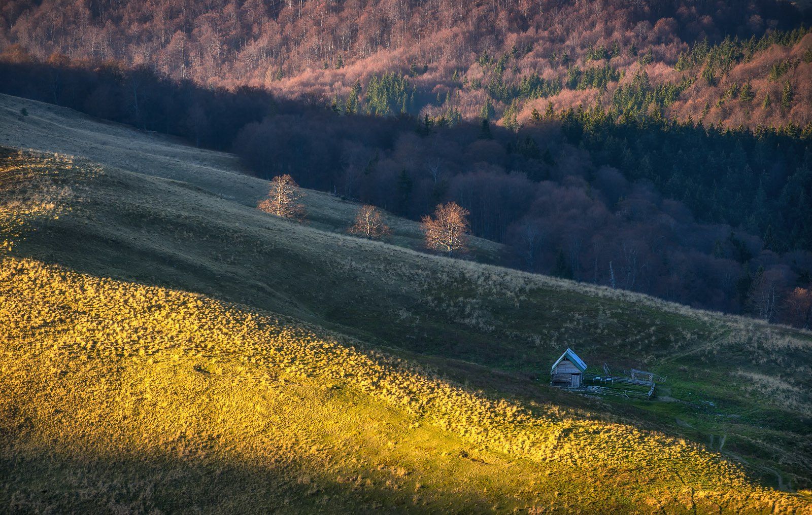 Autumn, Landscape, Nature, Ioan Chiriac
