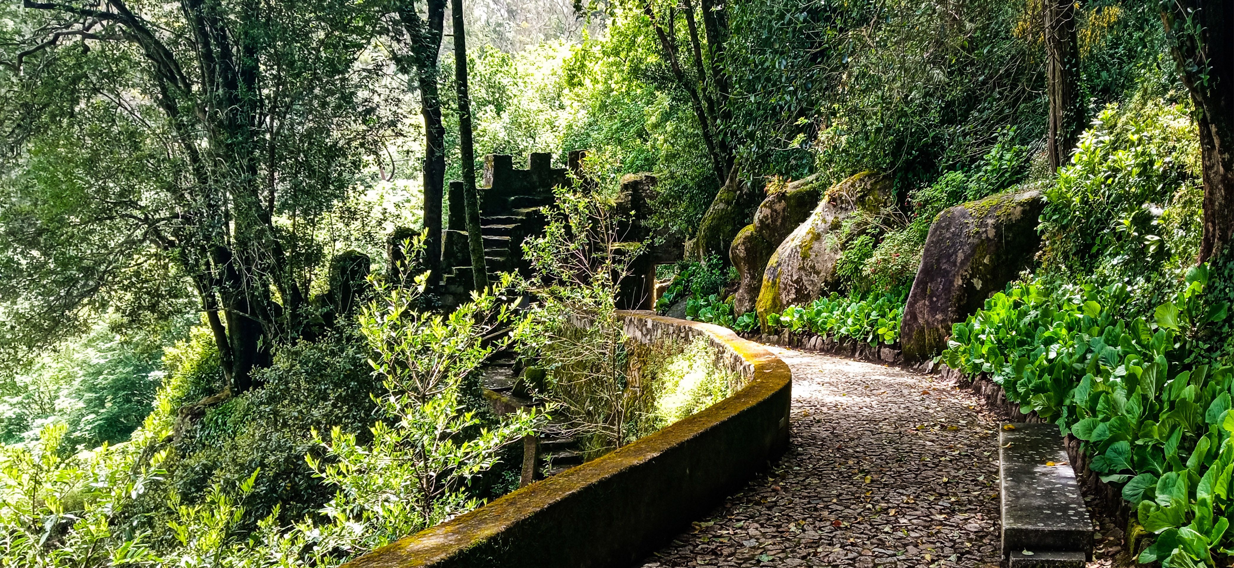 Landscapes, Nature, , Carlos Machado