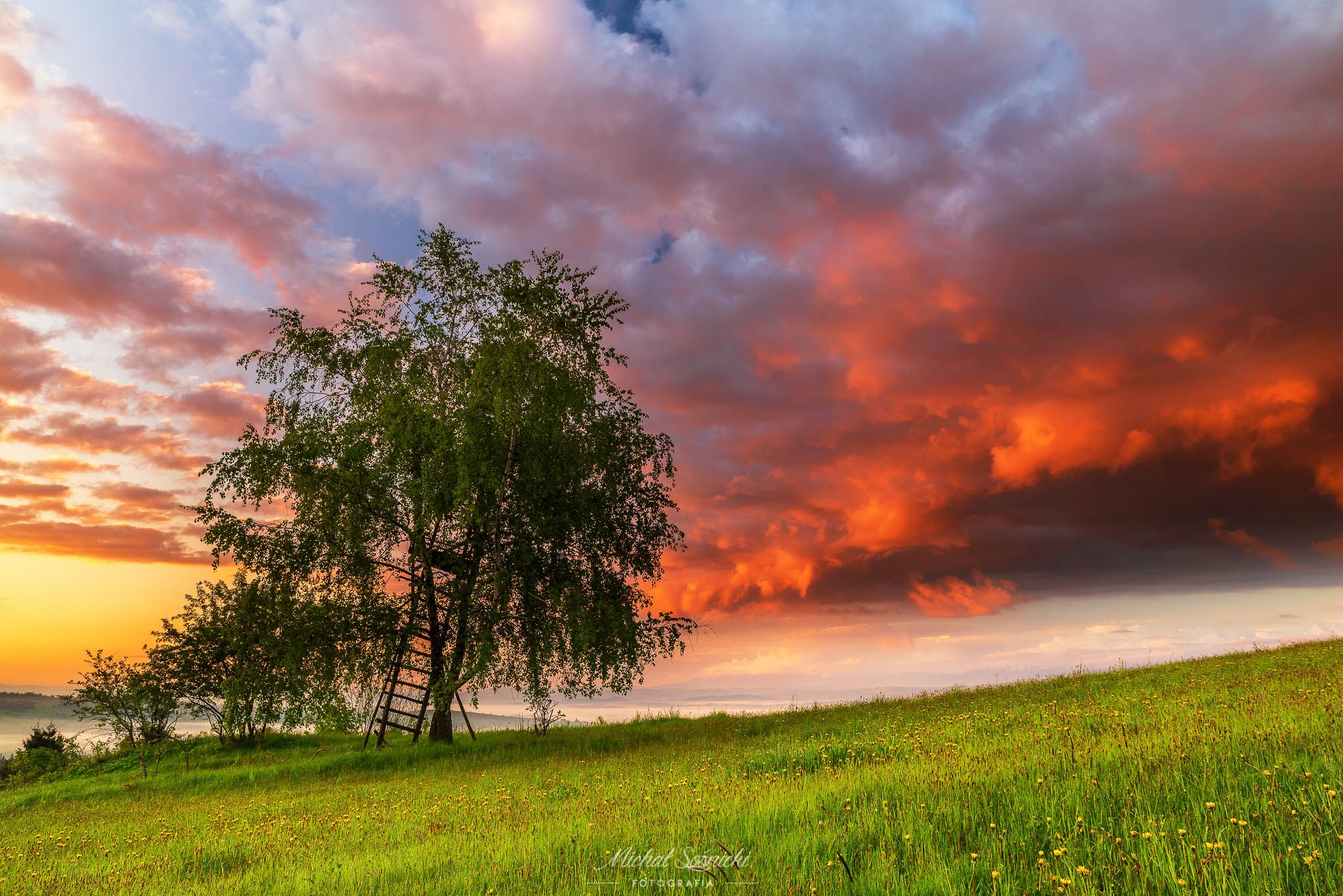 #poland #podhale #colours #clouds #sky #sunrise #tree #stairway #best #spring, Michał Sośnicki