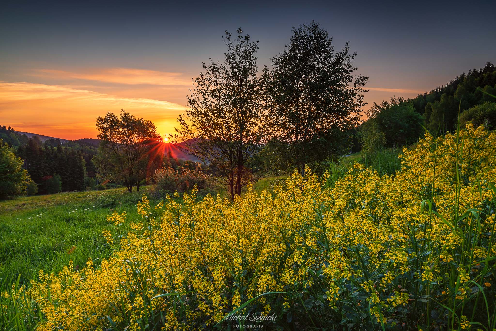 #poland #zawoja #tree #flowers #bluehour #sunrise #best #sky #color #pentax #benro #spring, Michał Sośnicki