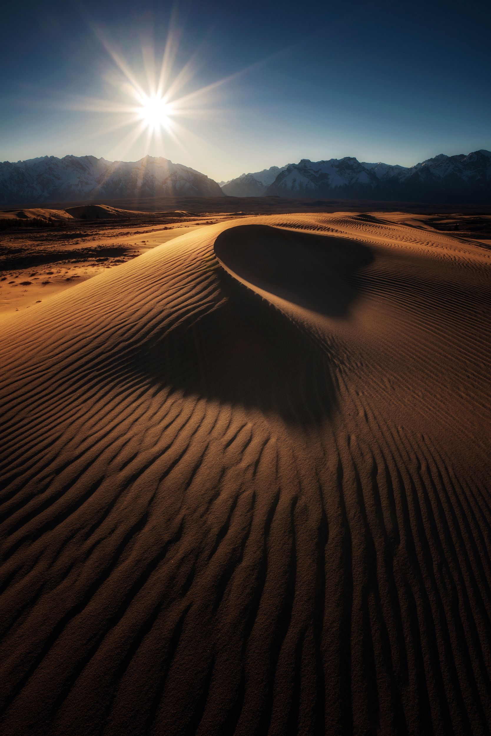 пустыня, дюны,чарские пески, Алексей Кретов