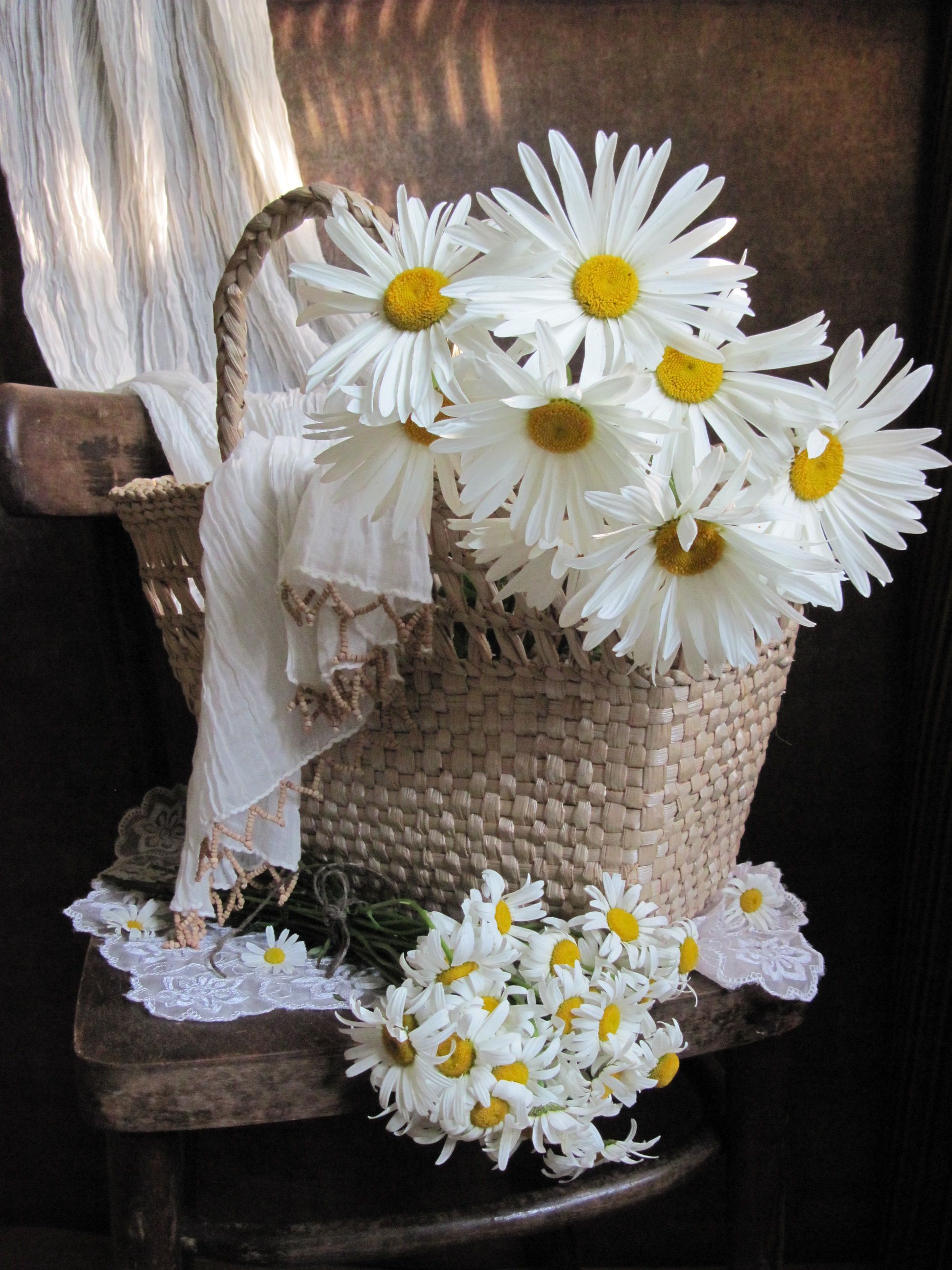 цветы, букет. ромашки. корзинка, стул. шарф, салфетка, Наталия Тихомирова