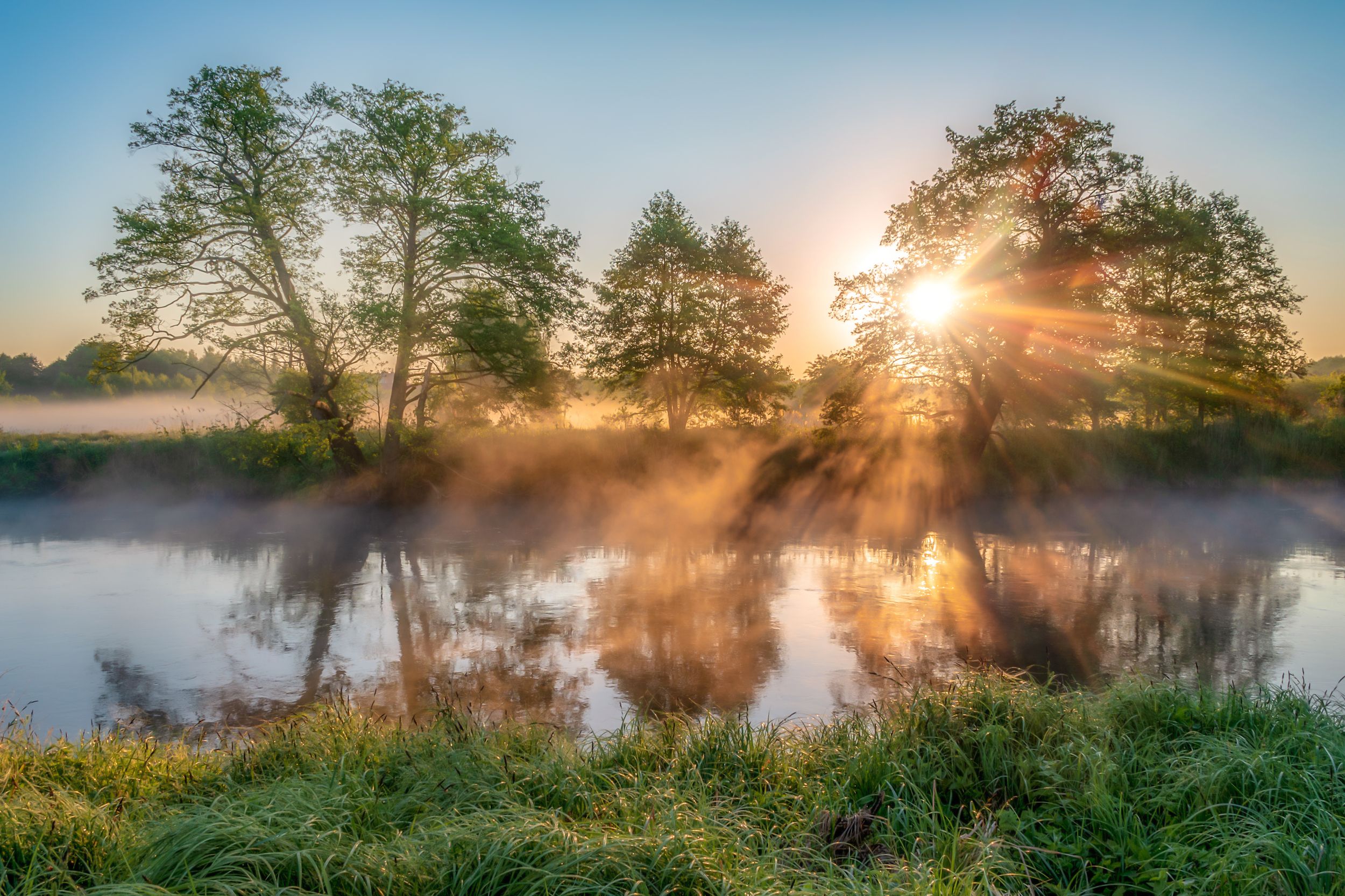 river, nature, fog, morning, spring, landscape, reflection, sun, sunbeams, trees, sky, grass, nikon,, Krzysztof Tollas