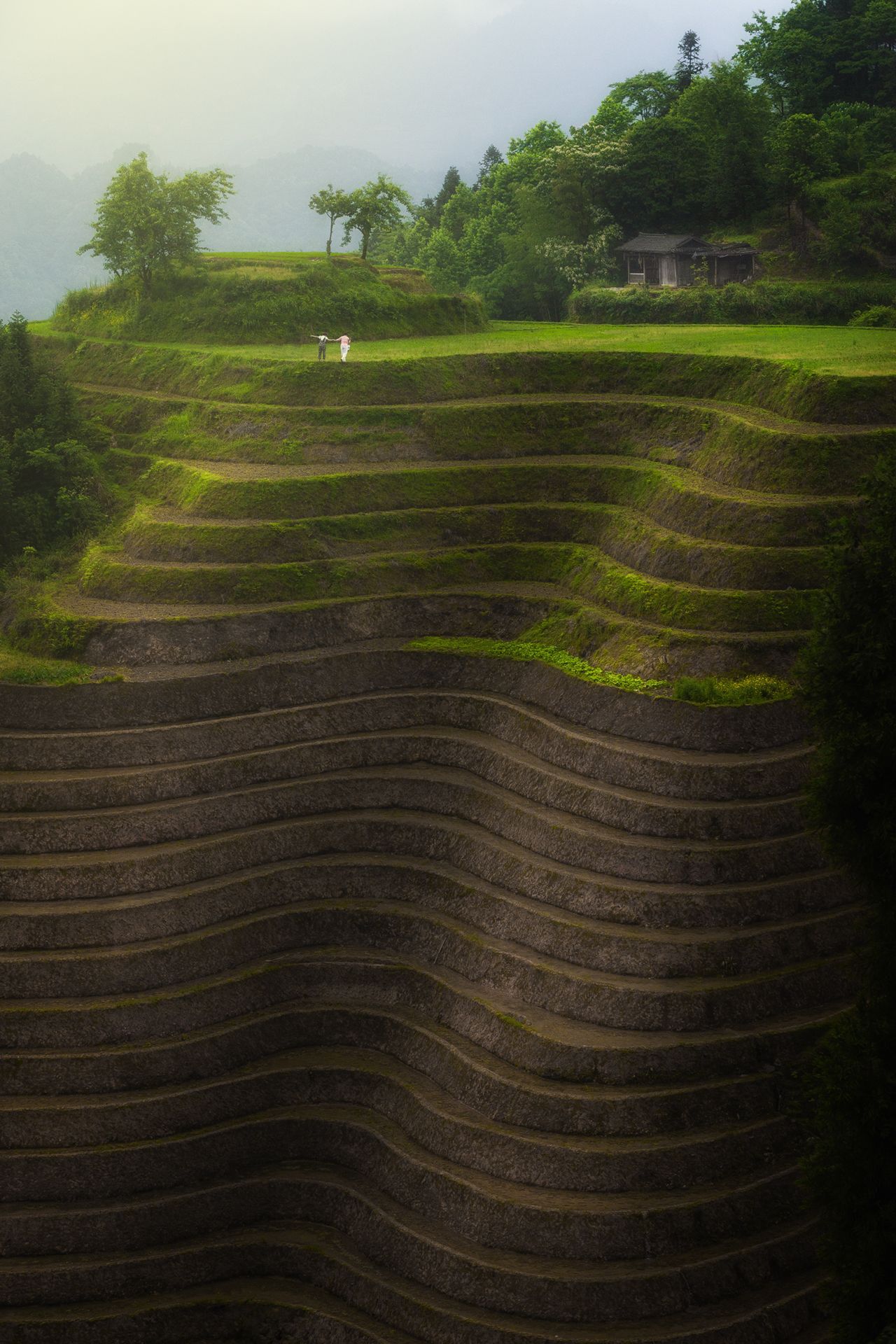 landscape, china, guilin, rice fields,, Токарев Олег