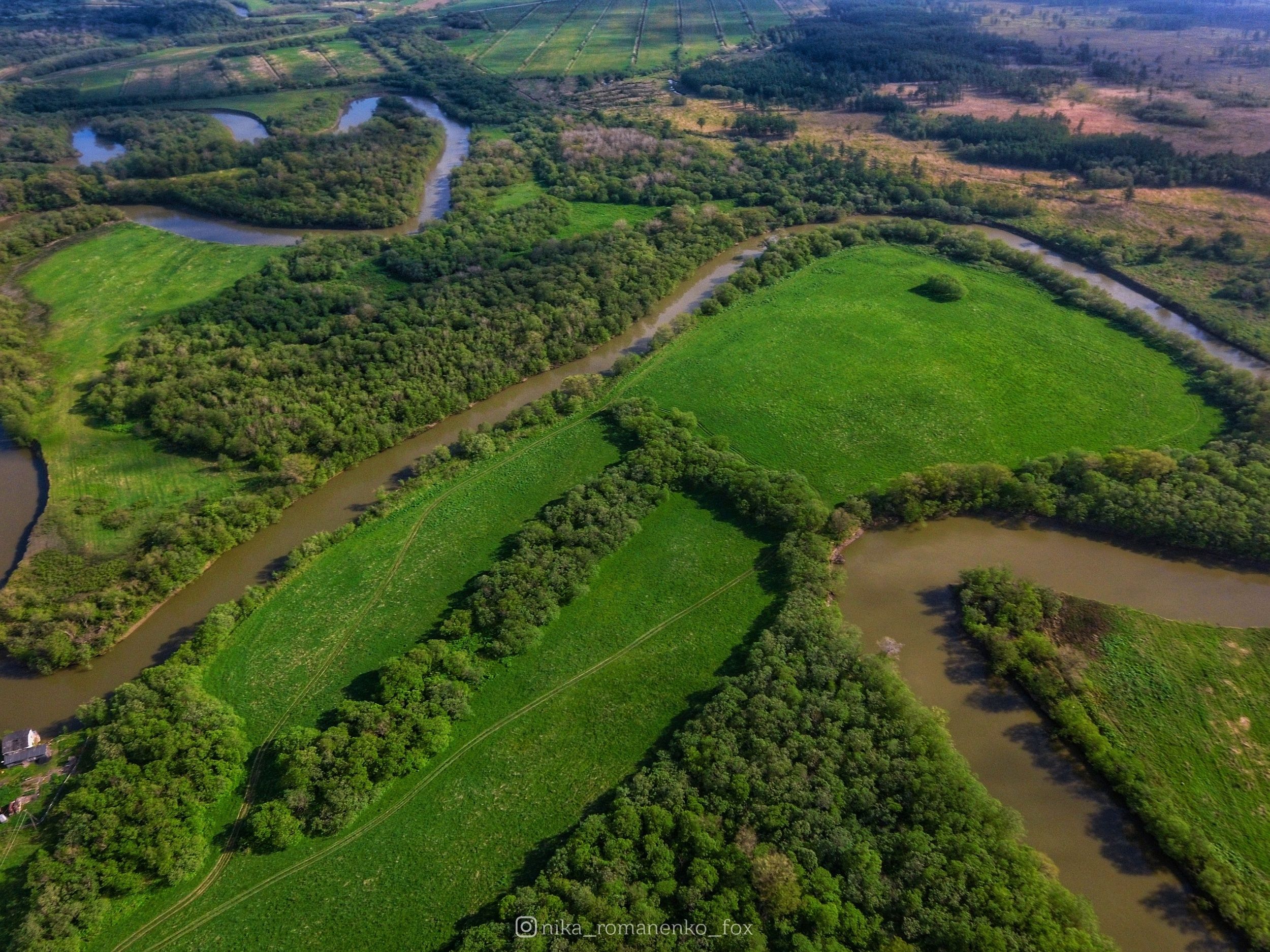 , Вероника Романенко