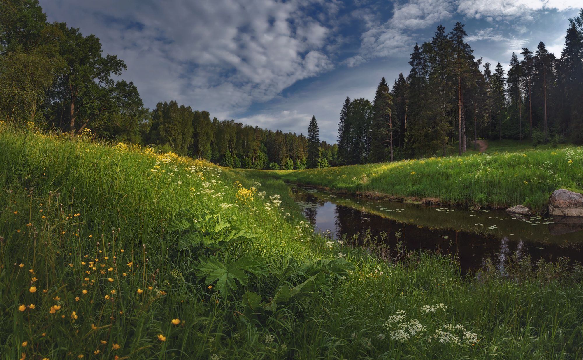 питер, павловск, павловскийпарк, павловский, пейзаж, landscape, tsarskoyeselo, Таня SHE (Aiya)