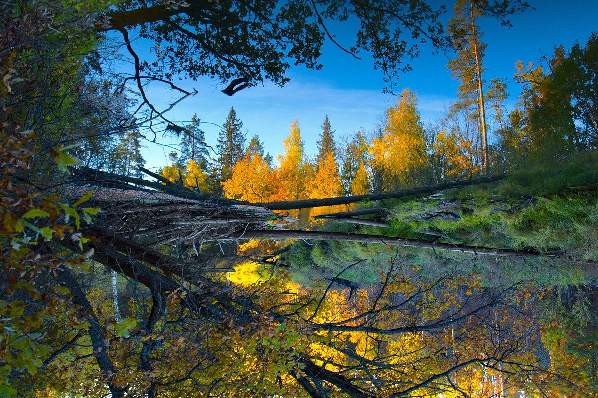 осень, река, отражения, мещера, рязанская область, Валерий Пешков