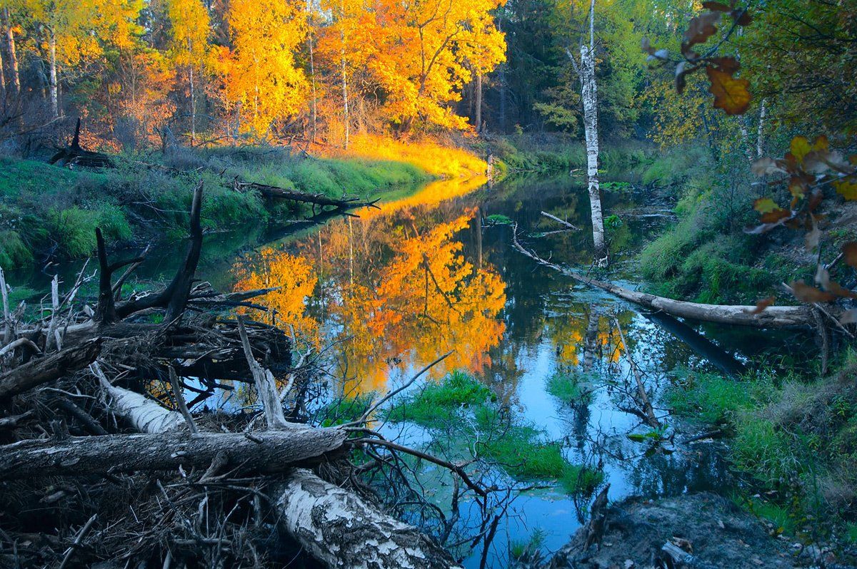 осень, река, мещера, рязанская область, Валерий Пешков