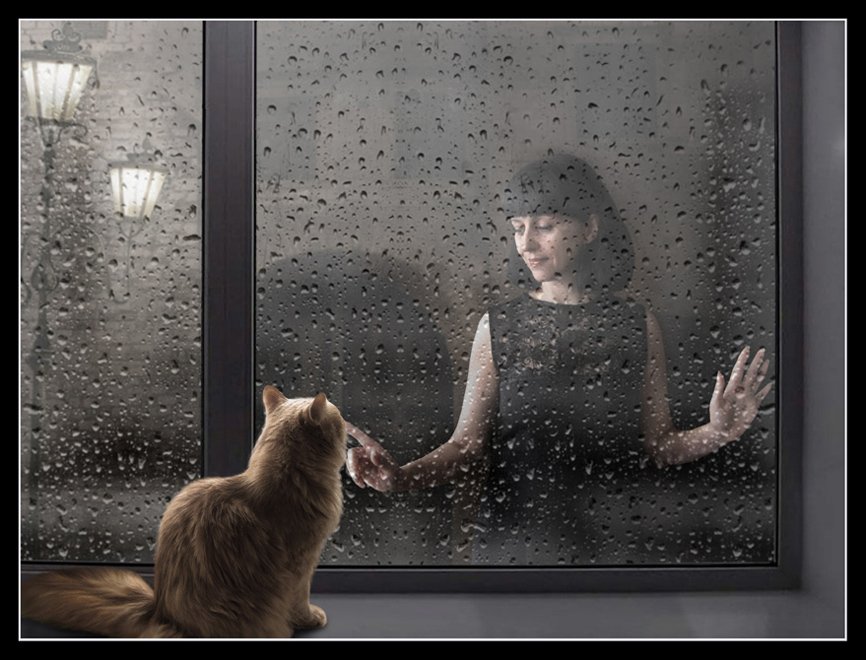 Дождь окно, Кошка, Iridi (Ирина Кузнецова)