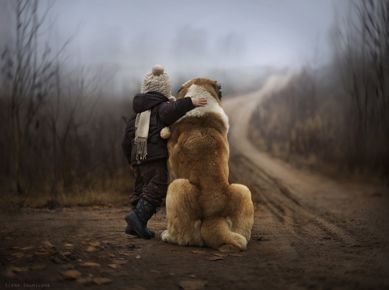 , Elena Shumilova