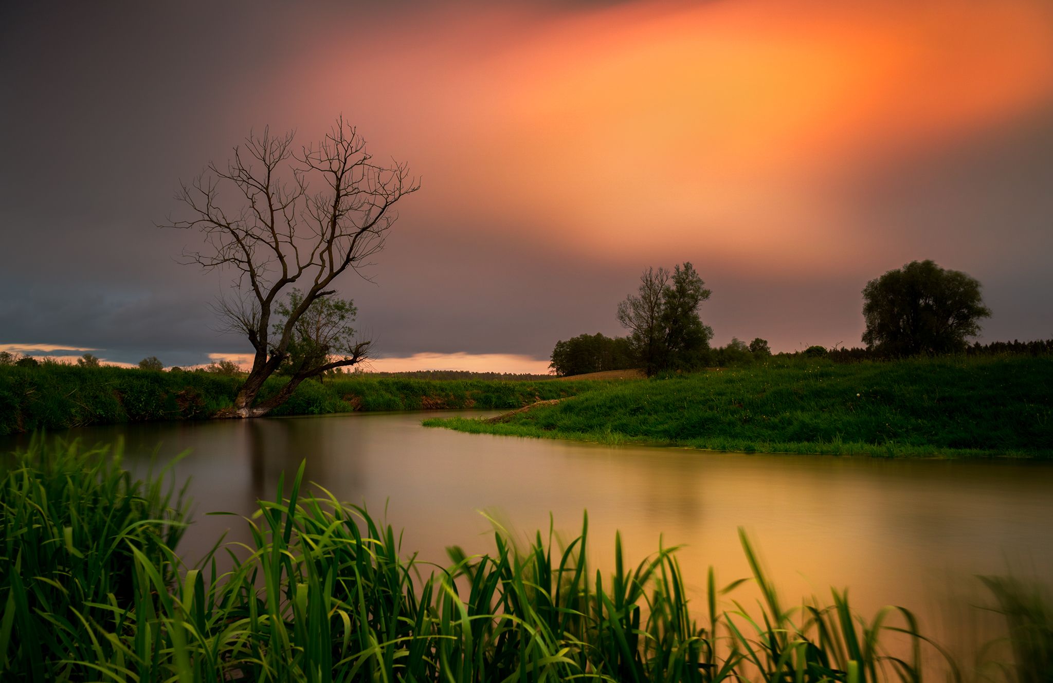 sunset, river, tree, nature, landscape, spring, sun, day, Lukasz Zugaj