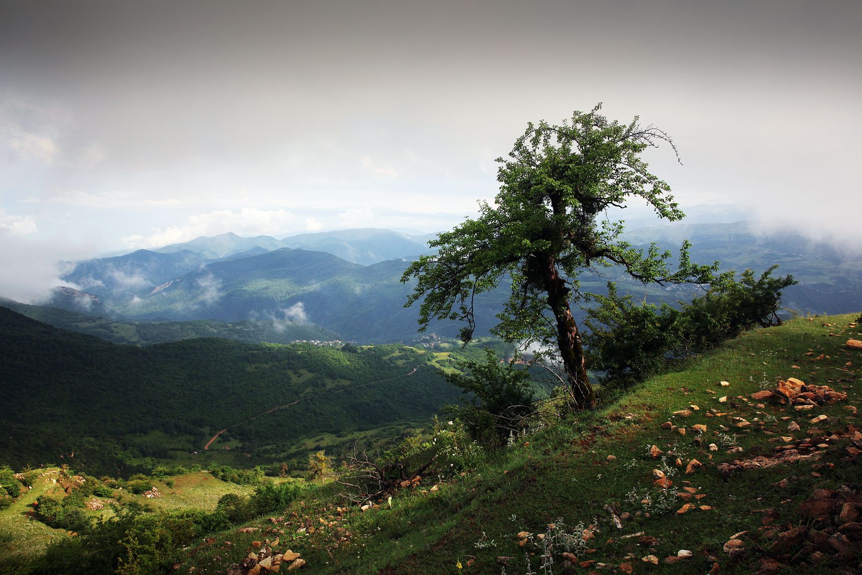 горы,вершины,пейзаж,небо,деревья,дагестан,природа, Marat Magov