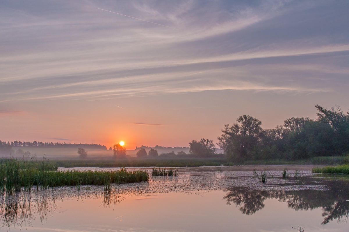 пейзаж, рассвет, лето, пруд, озеро, landscape, Алексей Юденков