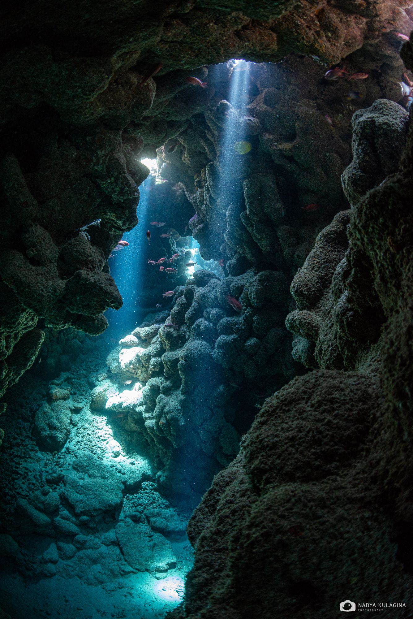 underwater, cavern, cave, diving, underwater photography, landscape, mystic, water, fish, rock, Nadya Kulagina