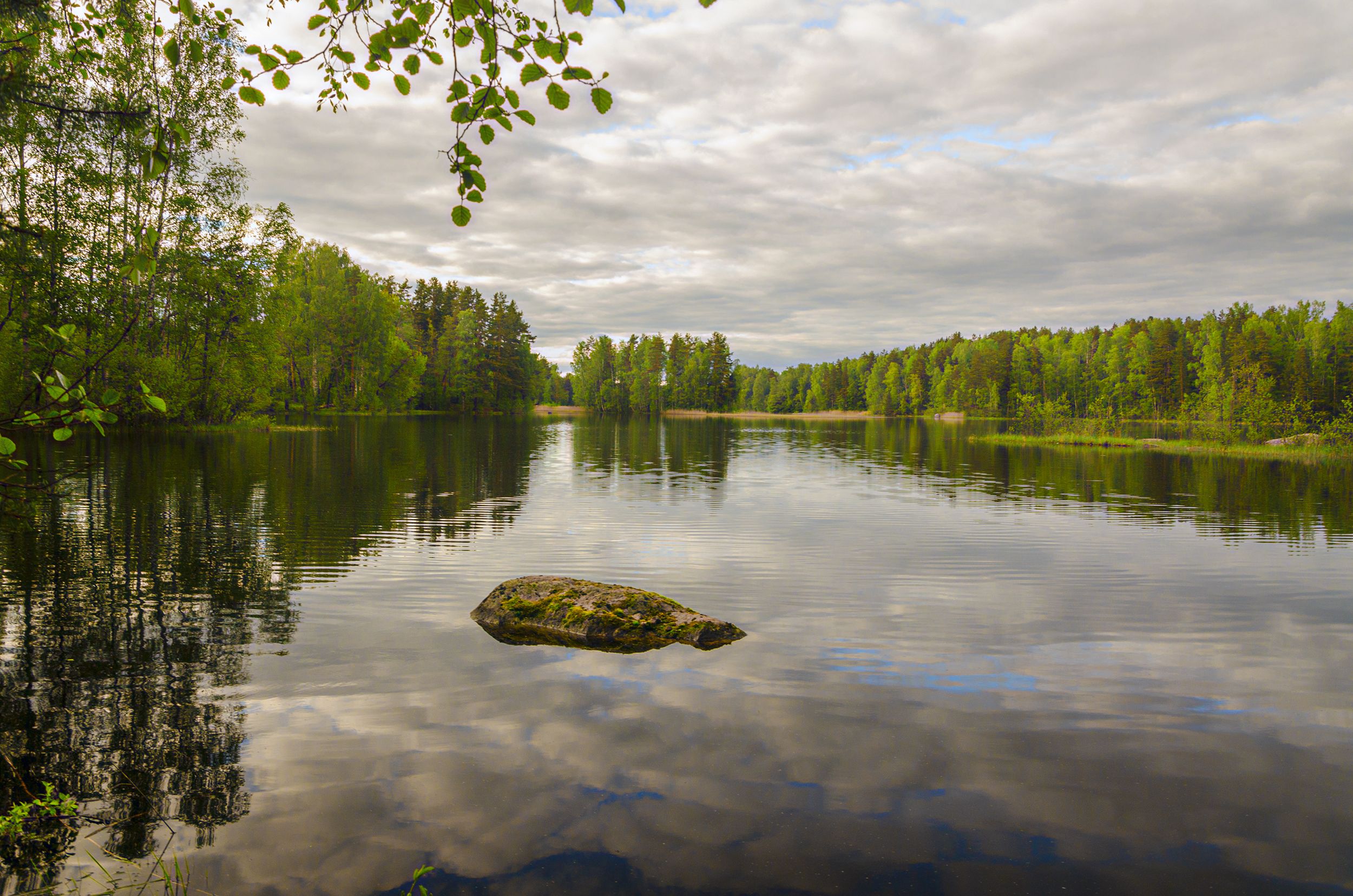 природа карелия озеро, Александр Березуцкий