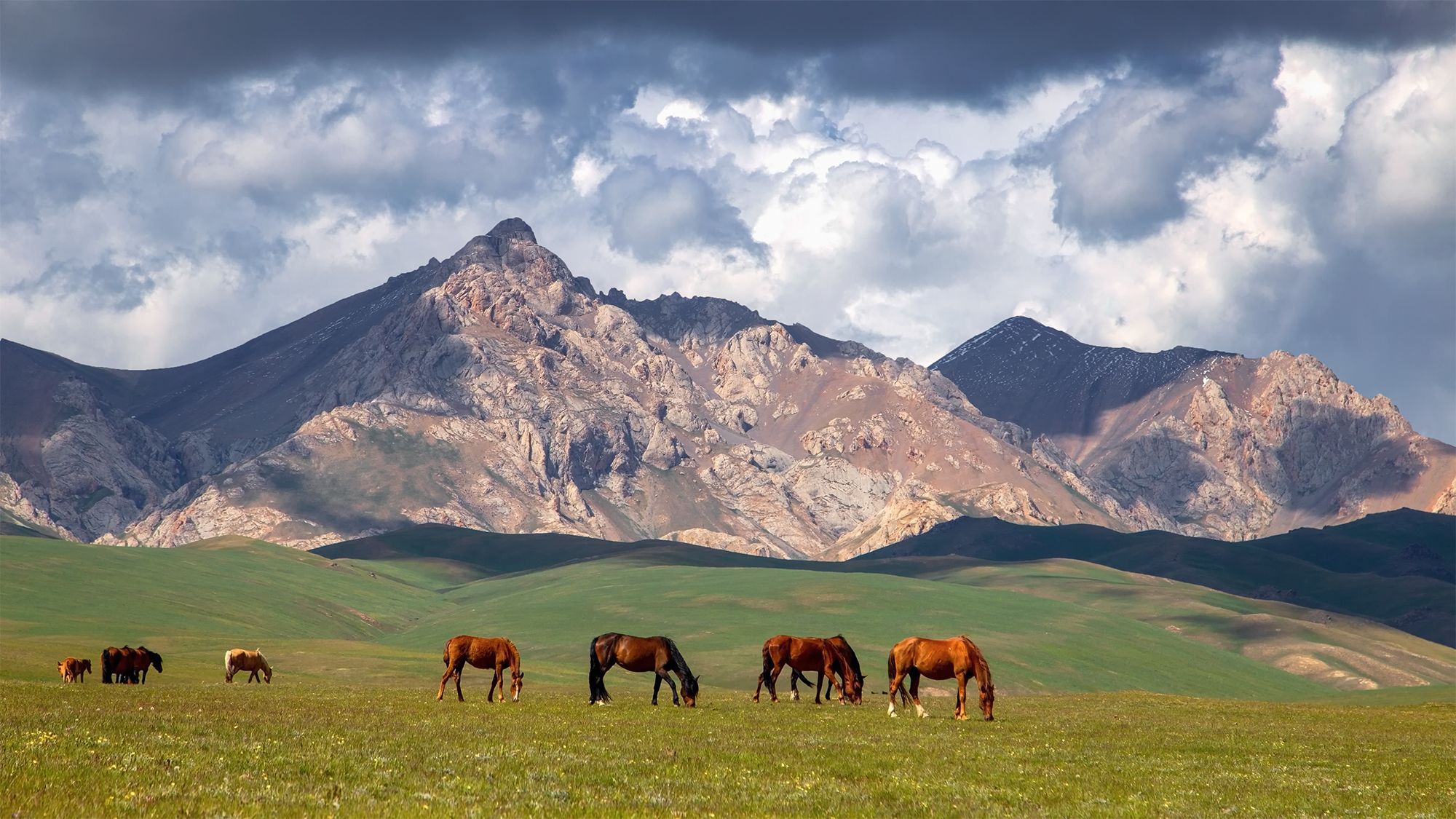 кыргызстан, горы, сон-куль, Элина Магалимова